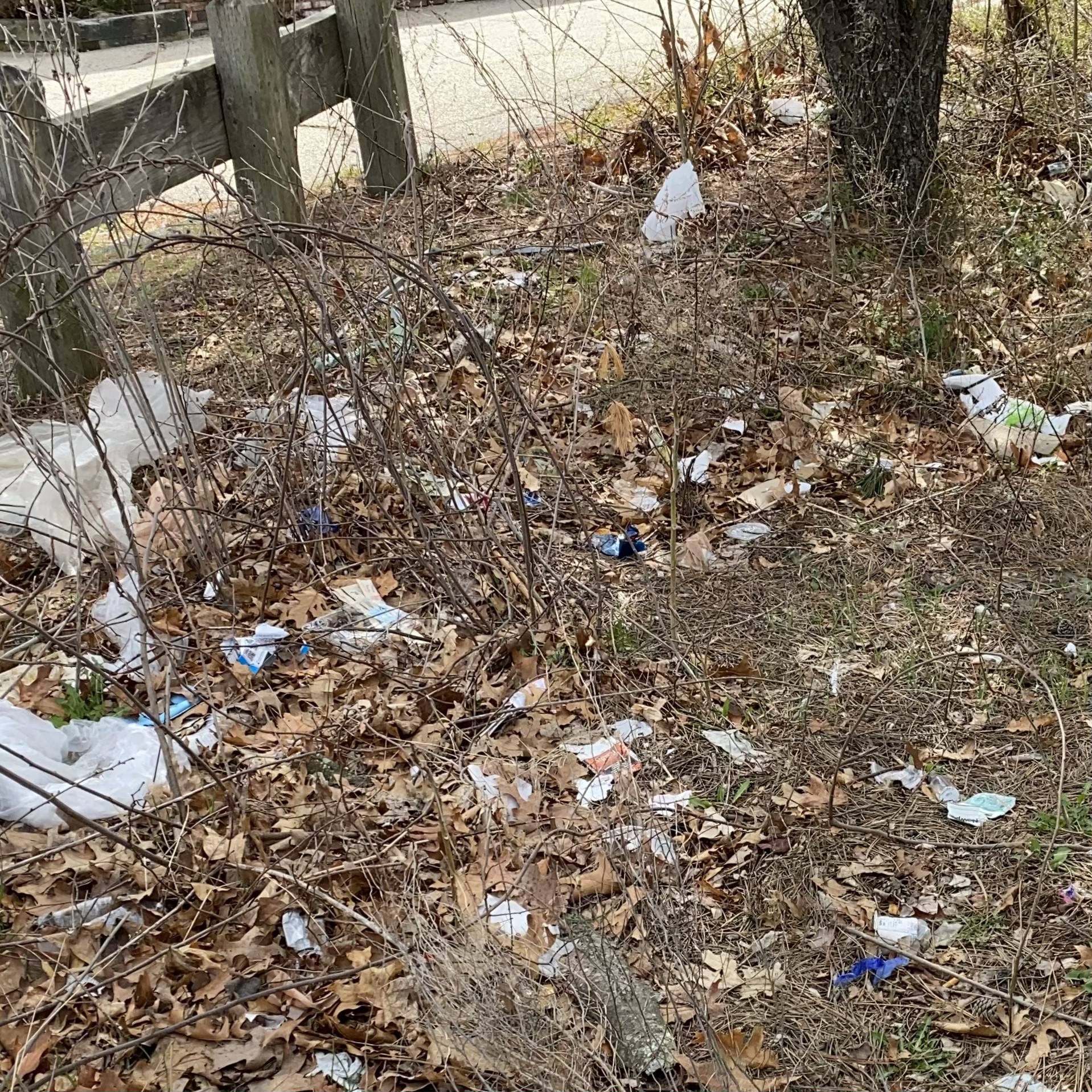 cleanup before