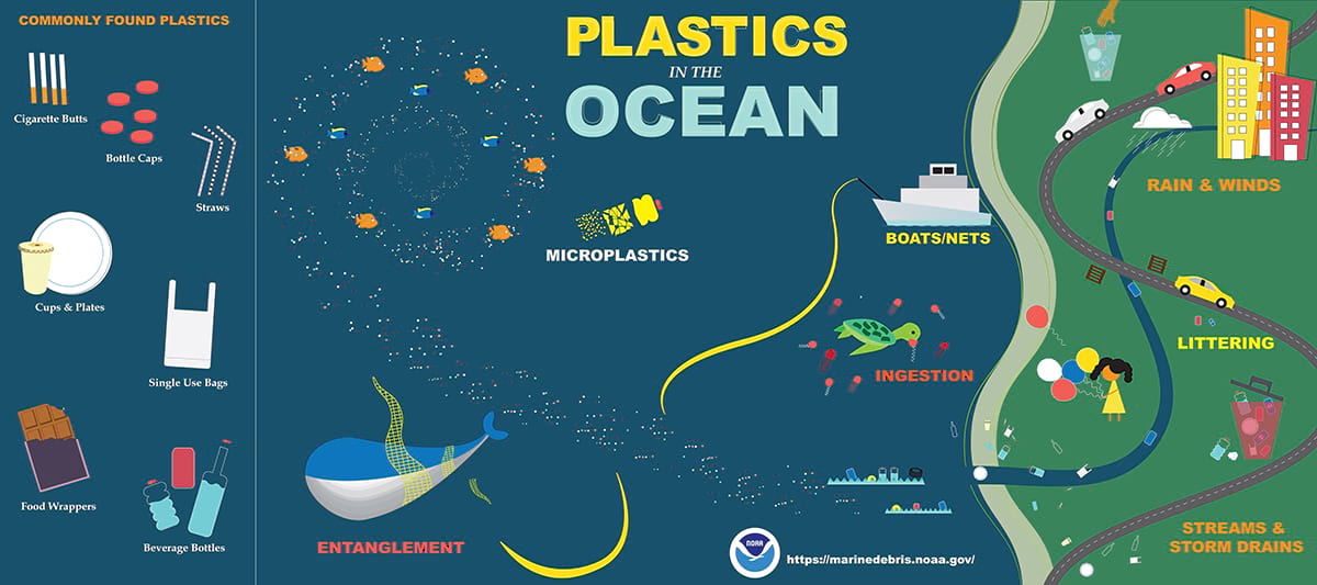 In the Ocean, It's Snowing Microplastics